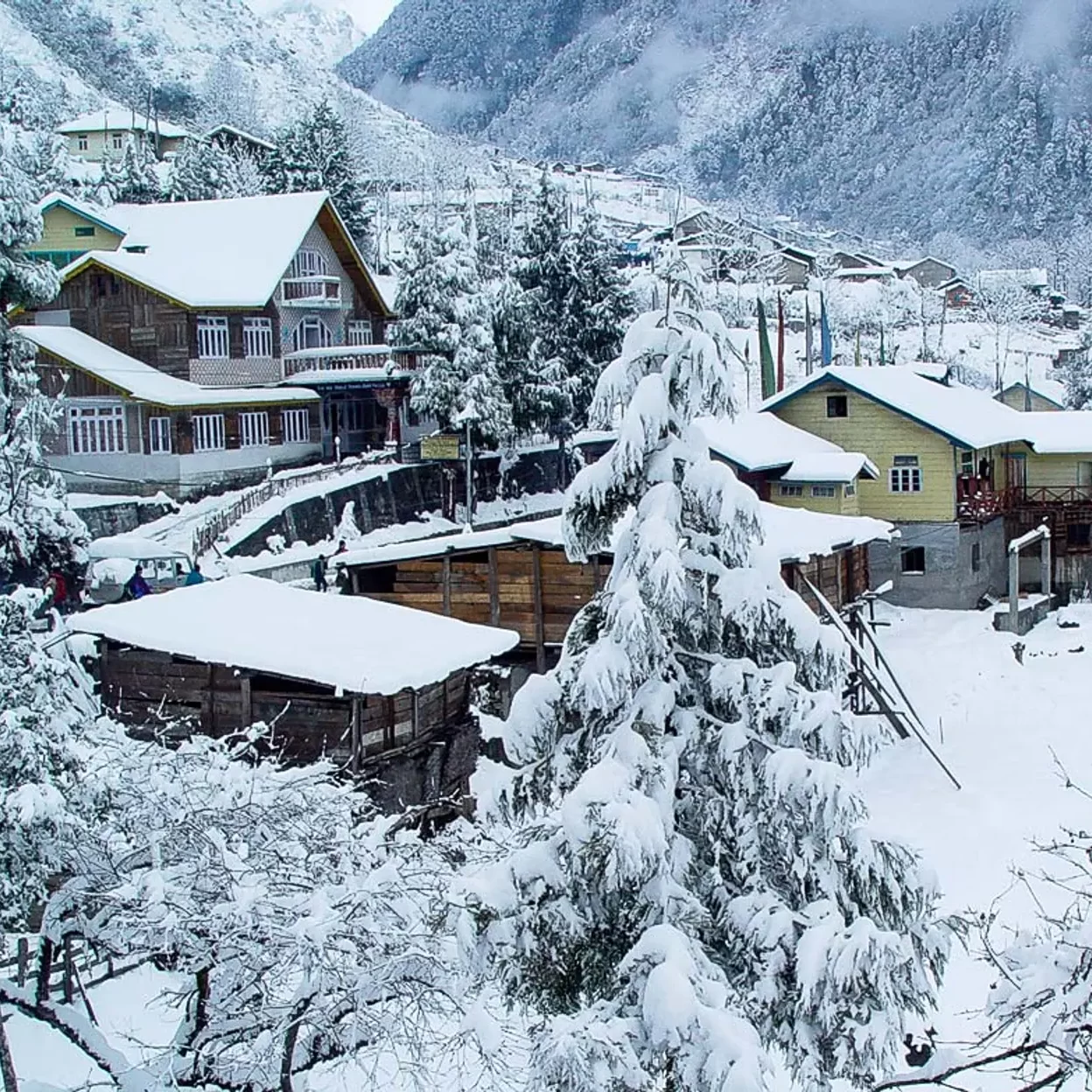 lachung north sikkim